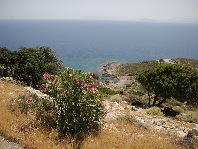 Pleasures of Crete