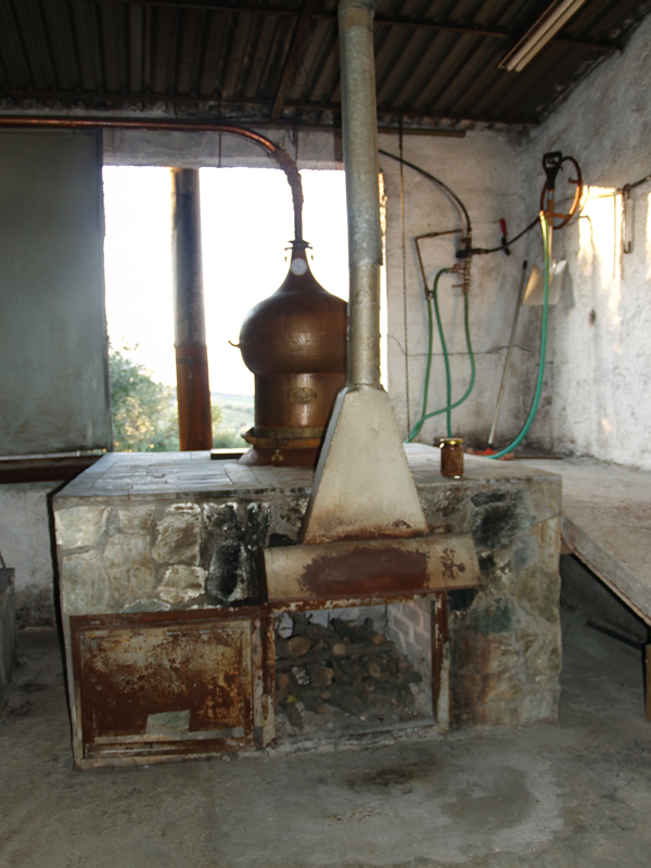 Tsikoudia Distillery